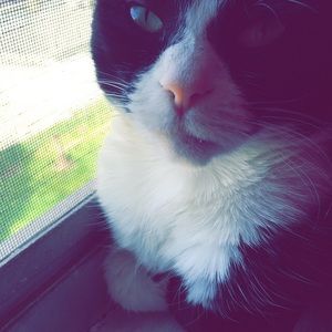 Meet your Posher, Sarah